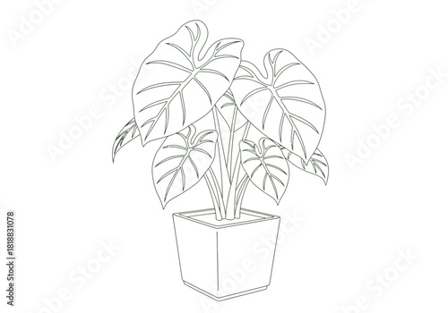 Outline drawing of a potted plant with large leaves, isolated on