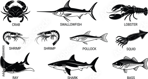 Set of sea life silhouettes with fish shark crab and lobster black vector collection.