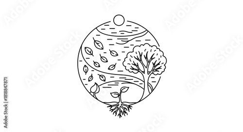 Captivating linear art depicts the dynamic cycle of nature from tiny sprout to mature tree and falling leaves under a sunlit sky