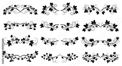 Elegant floral ornaments with swirling vines and leaves, perfect for invitations, cards, or design accents, bringing classic beauty to your projects