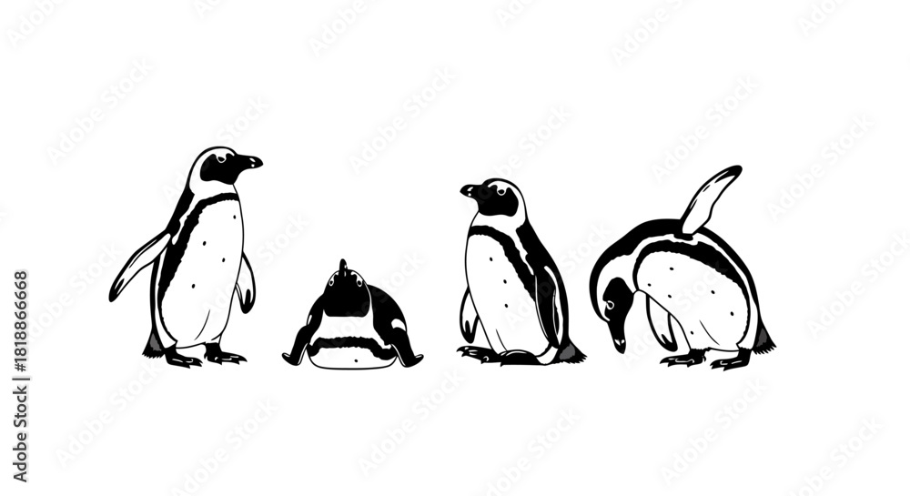 Obraz premium Group of penguins in different poses with transparent background