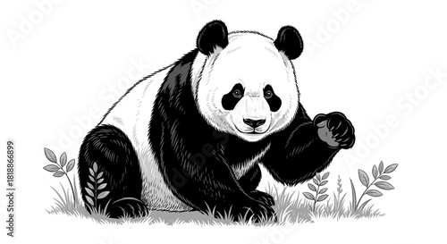 Sitting panda in grass with foliage