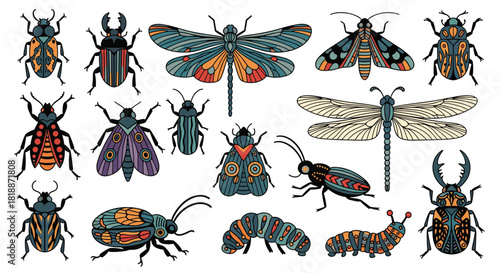 Set of beautifully decorated insects including beetles dragonflies and moths with intricate colorful ornamental patterns.