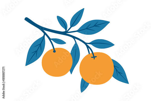 Decorative citrus fruit branch with two bright oranges and dark blue foliage