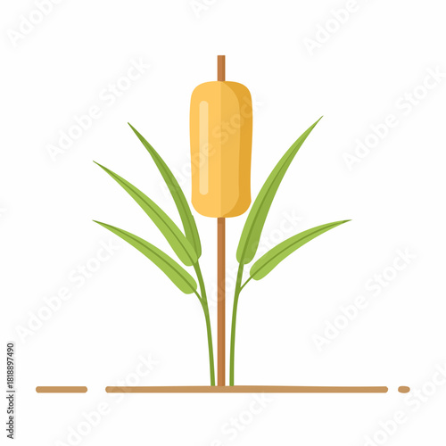 Stylized Cattail Plant with Long Green Leaves Growing from Marshy Ground
