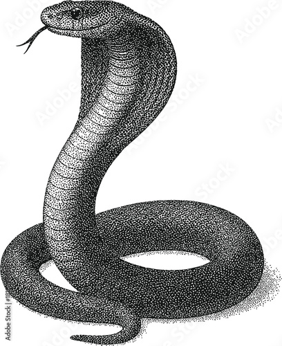 Halftone Cobra Illustration – Detailed Black and White Snake Drawing