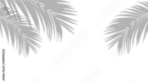 Realistic shadow of palm leaves on transparent PNG background. Black and white tropical coconut leaf and branches shadow background with blur overlay effect. Summer decoration natural palm leaf PNG.
