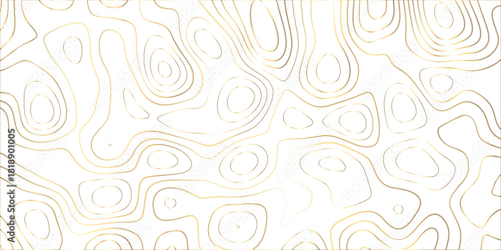 Fototapeta premium Topographic canyon geometric map relief texture with curved layers and shadow .Abstract geometric topographic contour map background. Panorama view gradient multicolor wave curve