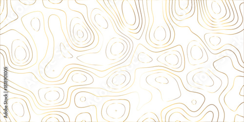 Topographic canyon geometric map relief texture with curved layers and shadow .Abstract geometric topographic contour map background. Panorama view gradient multicolor wave curve