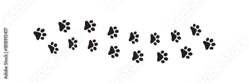 Paw vector foot trail print on white background. vector cat or Dog, path pattern animal tracks, isolated on white background