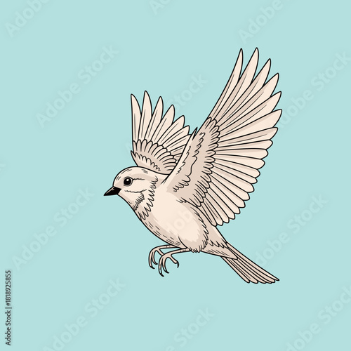 An elegant cartoon drawing of a small white bird with open wings, captured mid-flight, descending over a serene blue sky.