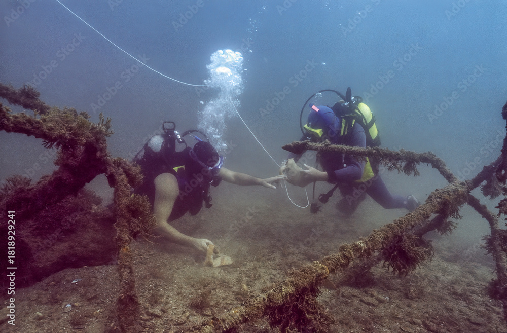 Εκτύπωση καμβά Underwater archaeologists examine and recover ancient artifacts in the Black Sea, carefully documenting finds among submerged structures and sediment in low-visibility conditions