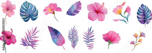 set of colored feathers