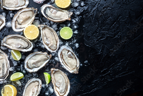 Fresh raw oysters on ice background, overhead flat lay view on a black slate texture, with lemon and lime, with copy space