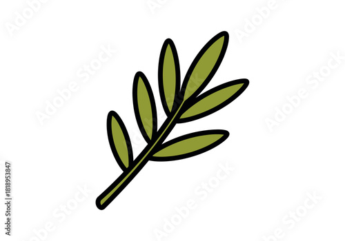 Olive branch illustration