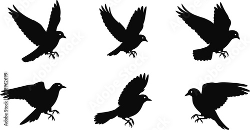 Six black bird silhouettes in various flying poses on white background vector
