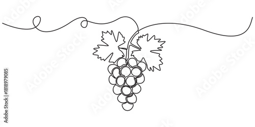 Continuous one line drawing of a bunch of grapes,  representing elegance and natural sweetness, line art style vector illustration, Bunch of grapes. Minimalist line drawing, one continuous line, pro.