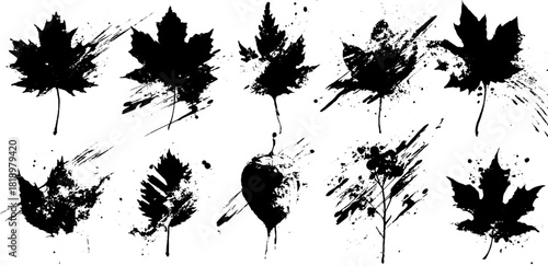 Artistic black ink splatter illustration of autumn leaf silhouettes for minimalist design