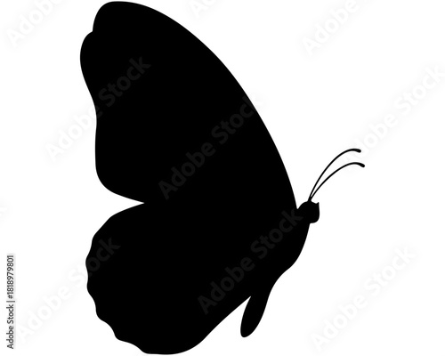 Elegant black butterfly silhouette vector graphic, isolated on white, perfect for minimalist design, nature-themed projects, or as a decorative element