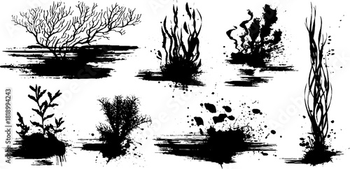 Black ink splatter illustration set of marine flora branching for artistic design