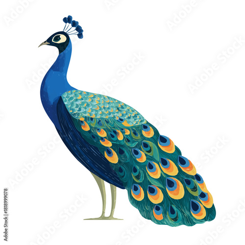 Simple flat 2D vector graphic of a Peacock in modern icon style, isolated on a white canvas