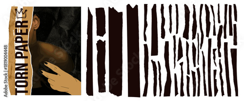 Set tattered paper stripes with torn edges and jagged rectangle shapes.