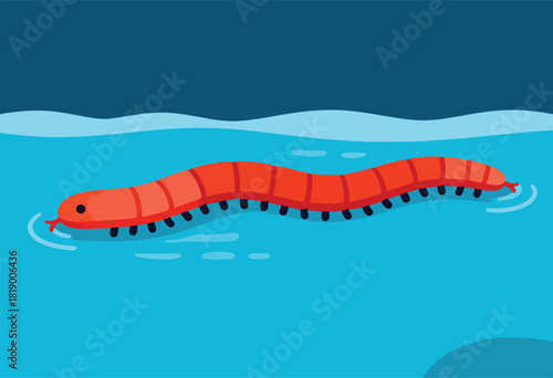 Illustration of a cartoonish red centipede swimming in blue water. Simple art style with ripples and dark sky