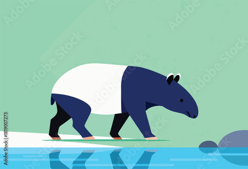 Vector illustration of a tapir near water. It walks with its reflection visible, with minimal detail