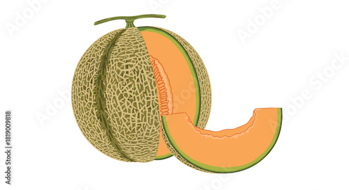 Freshly harvested cantaloupe melon, partially sliced to show its vibrant orange flesh and seeds, with an additional wedge.