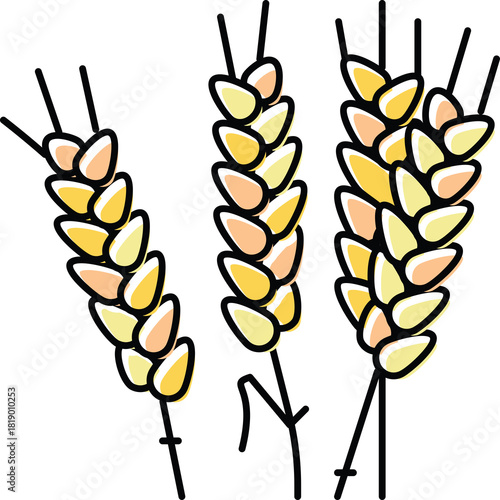 Illustration of three stalks of wheat featuring golden yellow and light orange kernels and fine black outlines set against a transparent background symbolizing agriculture and harvest