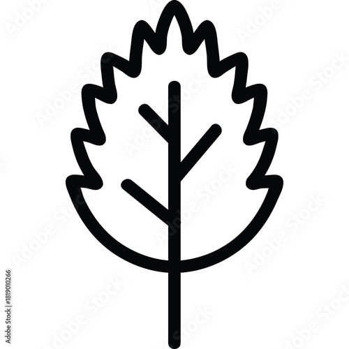 Outline Icon Of A Leaf With Jagged Edges And A Central Stem On A Transparent Background