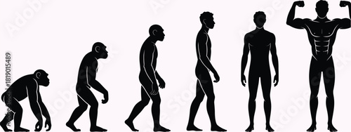 evolution human silhouette vector, showing primate to upright transformation with anatomy progress details, black and white posture sequence, perfect for biology science timeline illustration.