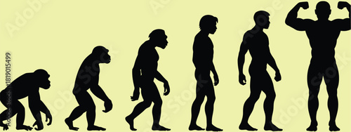 evolution silhouette illustration, featuring primate origins, muscular transformation stages, upright posture anatomy, black and white timeline graphics, ideal for science education design, biology.
