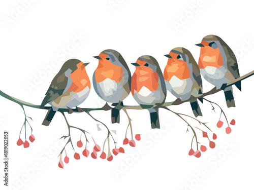 Five european robins perched on a branch with red berries