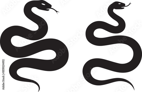 Two stylized black silhouette snakes coiled and ready to strike against a stark white background symbolizing danger and mystery