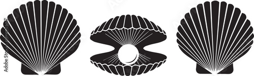Elegant black and white vector illustration of three scallop shells with a pearl inside one open shell