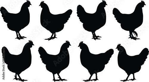 Black Silhouettes of Domestic Chickens, Hens, and Roosters Standing, Walking, and Pecking, Perfect for Farm, Poultry, Animal, and Livestock Vector Design, Isolated White Background