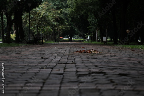 walk in the park