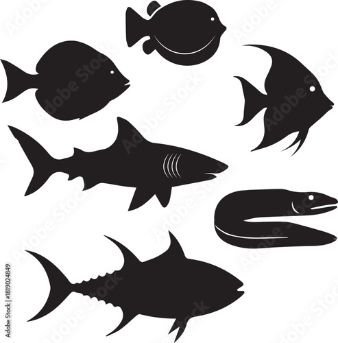 Collection of diverse marine life silhouettes including a shark tuna eel pufferfish and angelfish in black and white illustration