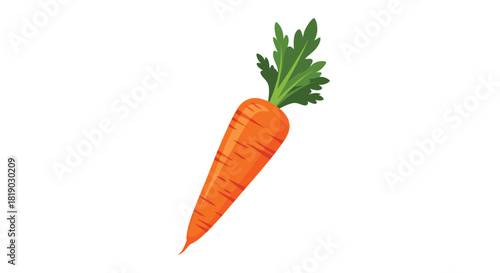 A bright orange carrot with green foliage, depicted in an upright, slightly angled position, isolated on a clean white background.