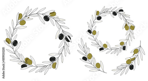Hand-drawn olive branch wreaths and individual sprigs with green and black olives, perfect for rustic Mediterranean designs.