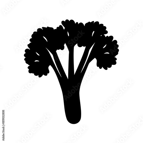 broccoli isolated on white