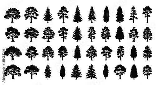Collection of various tree silhouettes, including deciduous and coniferous