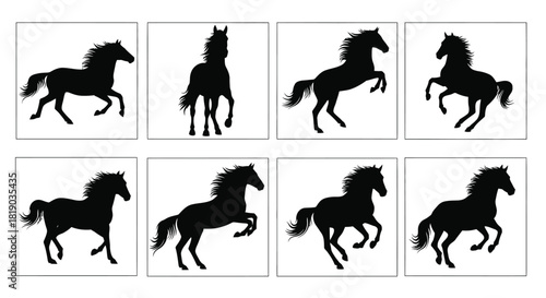 Collection of black horse silhouettes in various poses isolated on