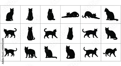 Black cat silhouettes in various poses isolated on