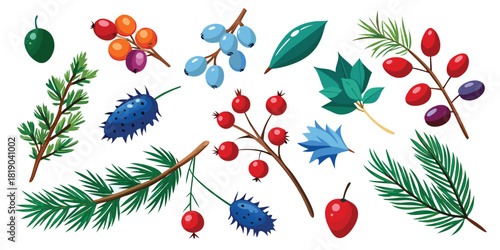 Berries branches leaves foliage botanical nature plant winter autumn seasonal