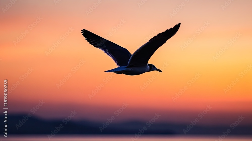 Fototapeta premium Majestic Bird in Flight Against a Stunning Sunset Sky with Vibrant Colors and Soft Clouds Reflecting on Water Surface in Natural Landscape
