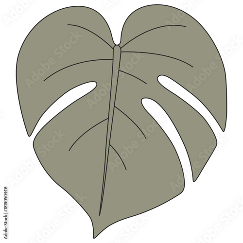 Monstera Leaf Silhouette with Simple Lines on White Background