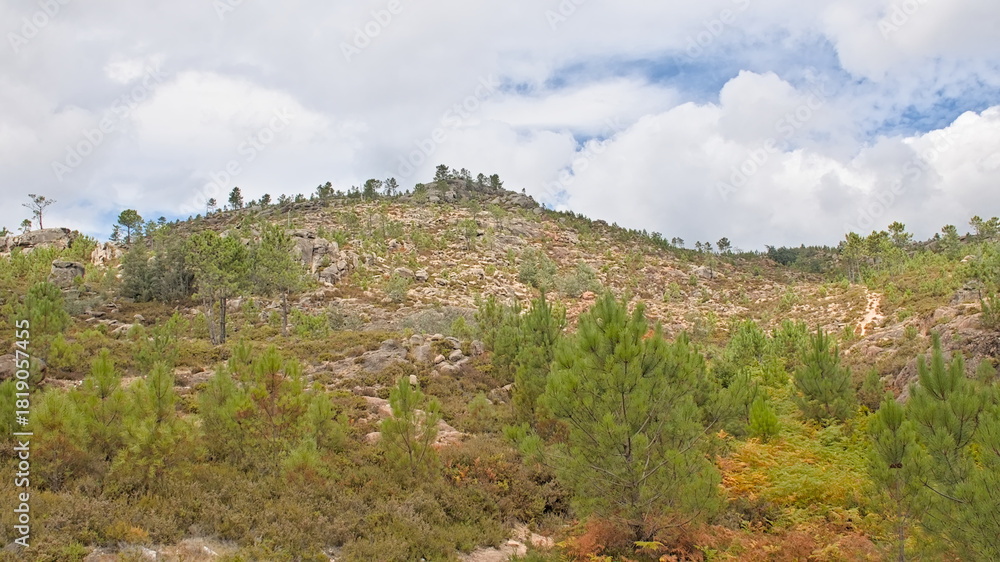 Fototapeta premium Mountain landscape with rocks and pine trees in Penada-Geres national park, Portugall 