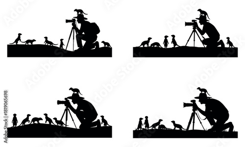 Wildlife photographer taking pictures of animals in nature silhouette
